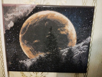 Алмазная мозаика 40х50 холст с подрамником картина стразами, "Лунная ночь" #25, Дарья К.