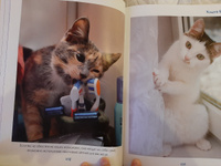 Моя большая книга о кошках и котятах | Куйе Наталья #4, Яна Л.