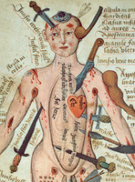 Анатомика. От ужасного до великого: человеческое тело в искусстве | Эбенштейн Джоанна #7, Виталий К.