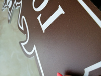 Адресная табличка на дом "Домовой знак" коричневая, 550х280 мм., из пластика, УФ печать не выгорает #97, Надежда П.