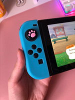 Силиконовые чехлы Switch Joy-Con Розовый+Голубой (2шт упаковка целофановый пакет) #5, Вероника Г.