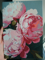 Картина по номерам маленького размера (холст на картоне) - Прекрасные цветы пионы #29, Ангелина Щ.