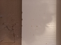 Кухонный модуль навесной шкаф Сурская мебель Прага угловой с 1 створкой 59,2х71,6х59,2 см, 1 шт. #55, Филиппова Юлия