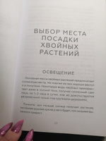 Энциклопедия хвойных растений. Вечнозелёные долгожители в вашем саду | Кочелаева Лариса Николаевна #4, Татьяна К.