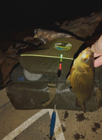 Светлячки электронные для ночной рыбалки на поплавок 5 шт #5, Игорь Ш.