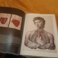 Анатомика. От ужасного до великого: человеческое тело в искусстве | Эбенштейн Джоанна #4, Лиза М.