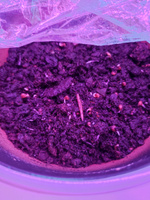 Фитолампа для растений и рассады, фитосветильник, сине-красный спектр (фиолетовое свечение), 16 Вт, 880мм #83, Зайтуна Б.