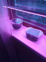 Фитолампа для растений и рассады, фитосветильник, сине-красный спектр (фиолетовое свечение), 16 Вт, 880мм #82, Зайтуна Б.