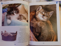 Моя большая книга о кошках и котятах | Куйе Наталья #5, Яна Л.