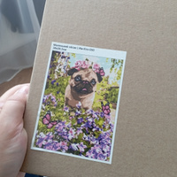 Картина по номерам на картонной основе LORI Маленький пёсик 38х28,5 см, антистресс в подарок #62, Ольга Т.