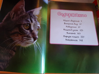 Моя большая книга о кошках и котятах | Куйе Наталья #2, Яна Л.