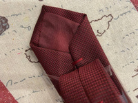 Mein Schatz Набор галстук + аксессуар #2, Георгий С.