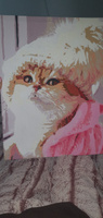 Картина по номерам "Котёнок в шапке", Холст на подрамнике, 40х50 см, Набор для творчества, Рисование, 40х50 см, Живопись "ТТ", с кошкой #36, Инна К.