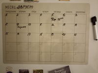 Магнитный планер-ежедневник на месяц, неделю PaperFox Список дел, магнитная доска для рисования с поверхностью пиши-стирай на холодильник 42х30см #8, Майя С.