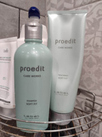 Lebel Proedit Care Шампунь для жестких и непослушных волос Works Soft Fit Shampoo 300 мл #4, Алиса С.