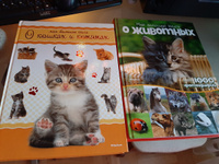 Моя большая книга о кошках и котятах | Куйе Наталья #1, Яна Л.