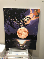 Картина по номерам 40х50 на холсте с подрамником "Лунная ночь" #87, Лилия К.