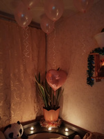 Набор воздушных шаров из фольги и латекса с конфетти 10 штук Розовый #32, Михаил Н.