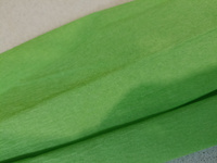 Бумага гофрированная цветная светло-зеленая/крепированная/креповая упаковочная 32 г/м, 50х250см, светло-зелёный #7, Илемби В.