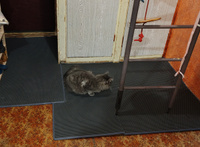 EVA Эва коврик придверный входной в прихожую для обуви, 135х100 см, СОТЫ, серый с серым кантом #56, Елена В.