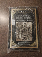 Страдания юного вертера. Пятнадцатилетний Гете | Гёте Иоганн Вольфганг #7, Дмитрий Р.