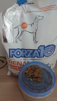 Forza10 Active Line сухой корм для взрослых собак всех пород при острой и хронической почечной недостаточности, хронической сердечной недостаточности - 4 кг #5, Евгений Б.