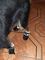 Обувь для собак мелких и средних пород/ зимняя обувь/ ботинки для животных #4, Любовь Г.