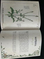 Секреты колдовских растений | Эли Ришар #8, Дарья С.