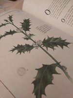 Секреты колдовских растений | Эли Ришар #2, Полина Т.