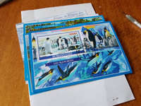 Набор марок #74 Блоки Морские животные-3 Пингвины и котики 10 шт #2, Владимир К.