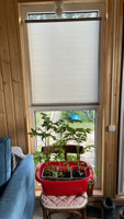 Рулонные шторы на окна 72,5*175 кварц оливковый. Шторы однотонные не блэкаут для гостиной, спальни, кухни. #30, Мария М.