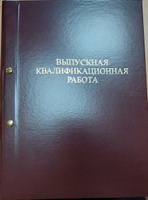 Папка универсальная для выпускных работ, проектов, диссертаций. Без надписи. С конвертом для CD. Переплет на винты. 3шт #4, Виталий К.