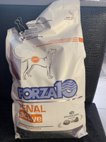 Forza10 Active Line сухой корм для взрослых собак всех пород при острой и хронической почечной недостаточности, хронической сердечной недостаточности - 4 кг #6, Ирина Р.