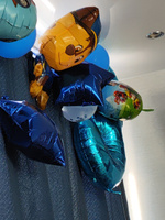 Набор фольгированных шаров Щенячий патруль для мальчика 5шт #27, Екатерина С.