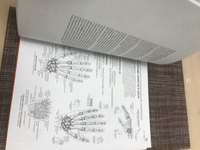 Анатомия человека: атлас-раскраска | Элсон Лоренс М., Кэпит Уинн #8, Марина Т.