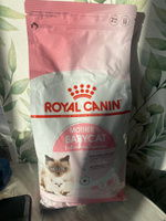 Royal Canin Mother & Babycat сухой корм для котят в возрасте от 1 до 4 месяцев и кошек в период беременности и лактации, с птицей - 2 кг #1, Максим Л.
