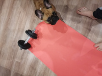 Коврик для йоги, фитнеса ECO-FRIENDLY TPE+TC Yoga Mat, 5 мм #7, Станислав К.