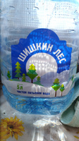 Вода негазированная Шишкин лес, 2 шт х 5 л #115, Елизавета С.
